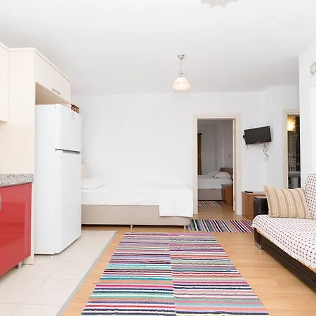 Gebora Suits & パラムップク