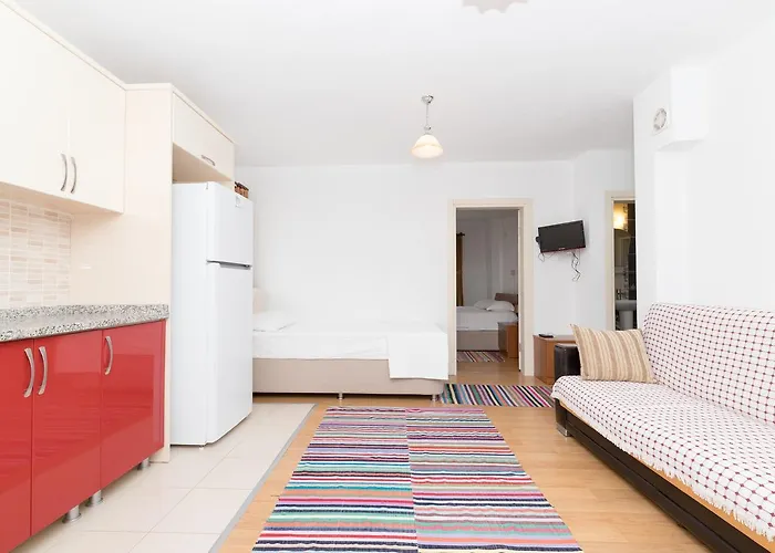 Gebora Suits & パラムップク